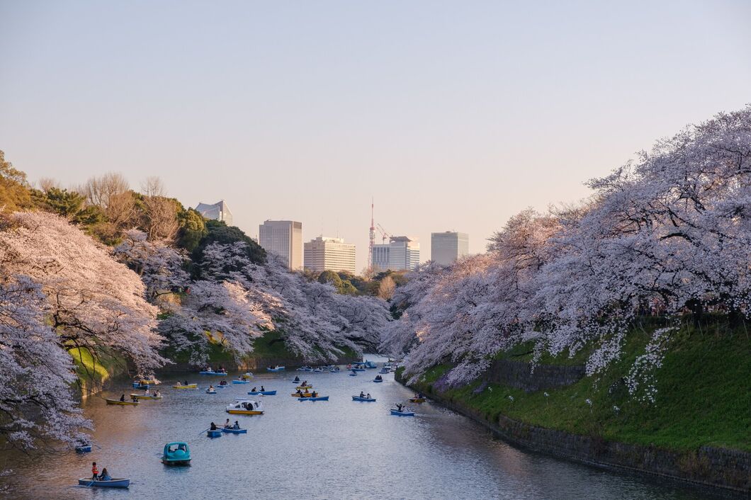 Japonsko