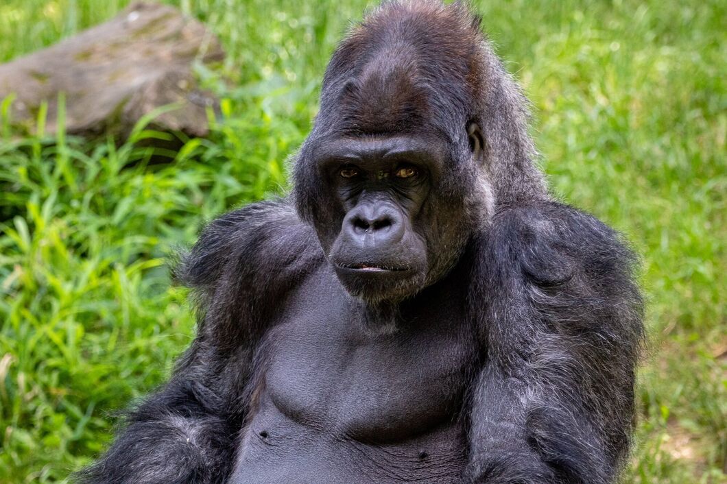 Rwanda
