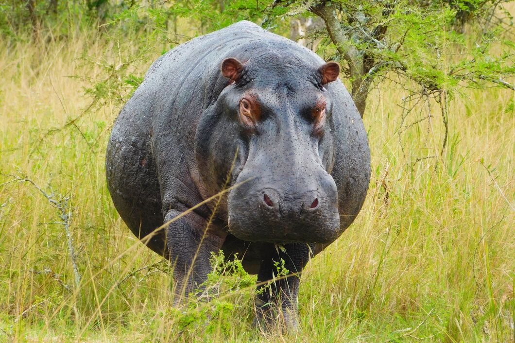 Rwanda