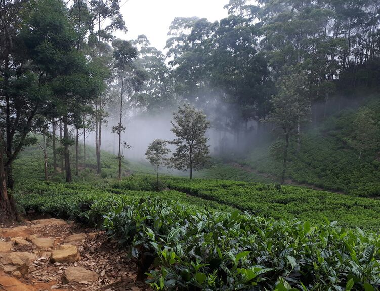 Rwanda