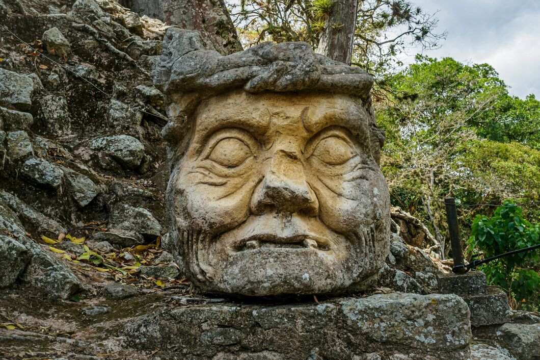 copan2