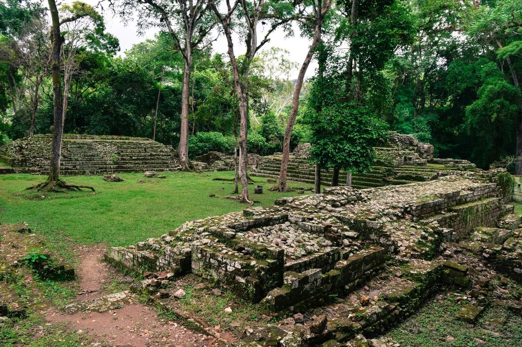 copan3