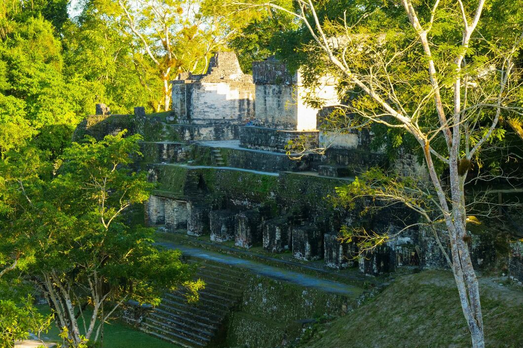 tikal7