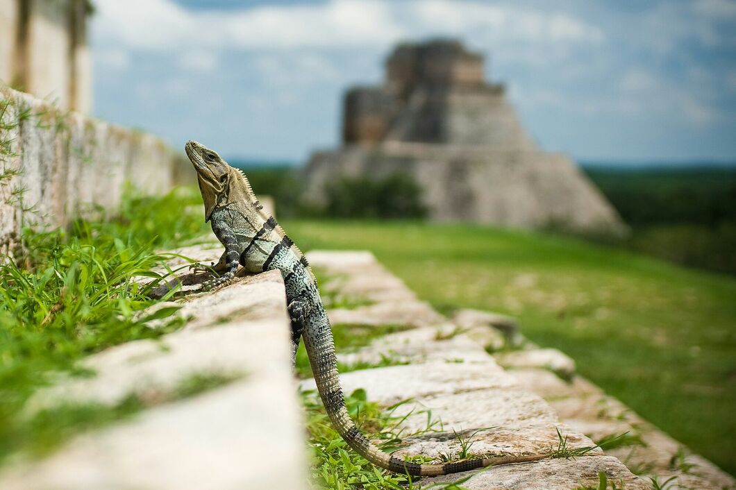 Mayan