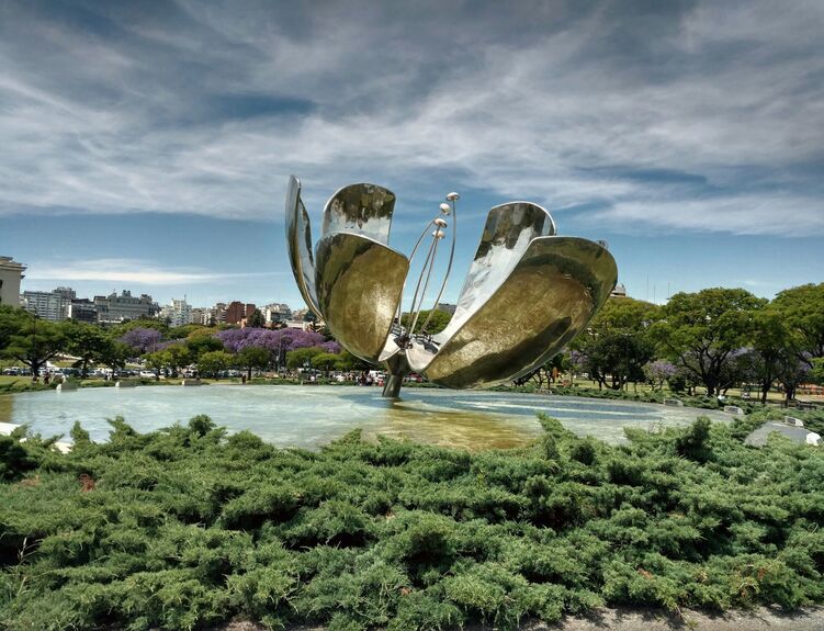 floralis generica
