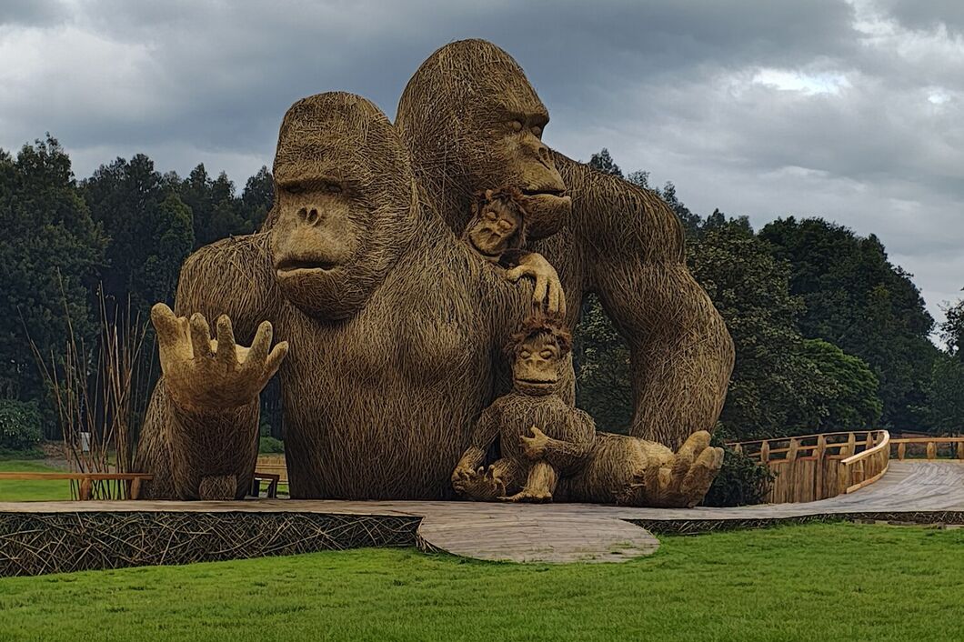 rwanda_volcanos_gorily1
