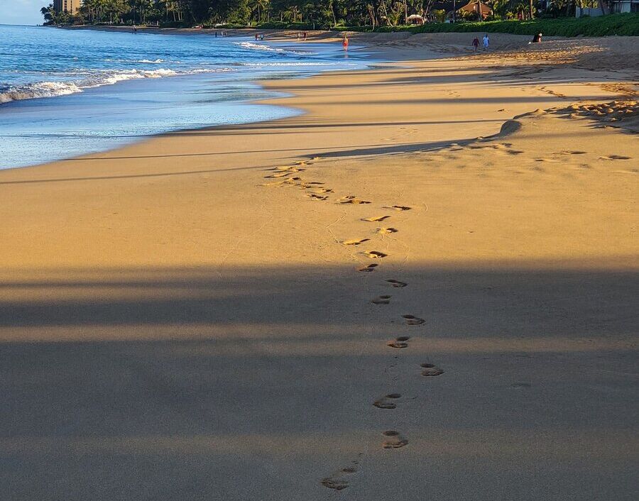 maui2
