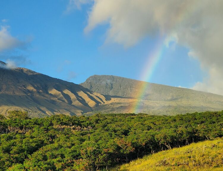 maui3