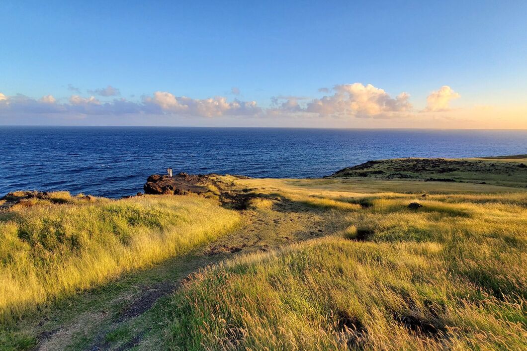 maui4