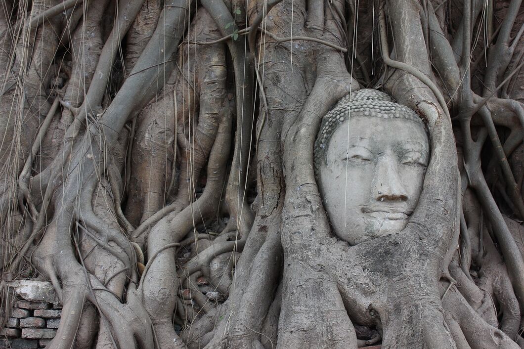 ayutthaya4