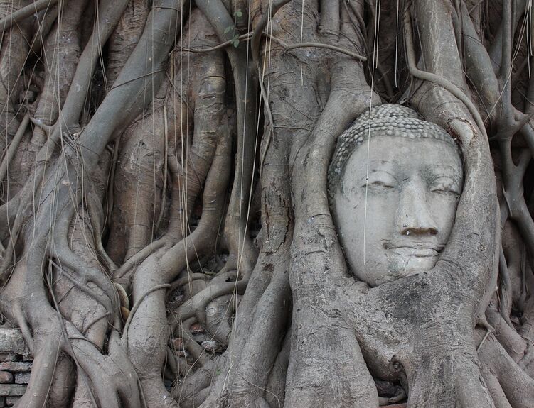 ayutthaya4