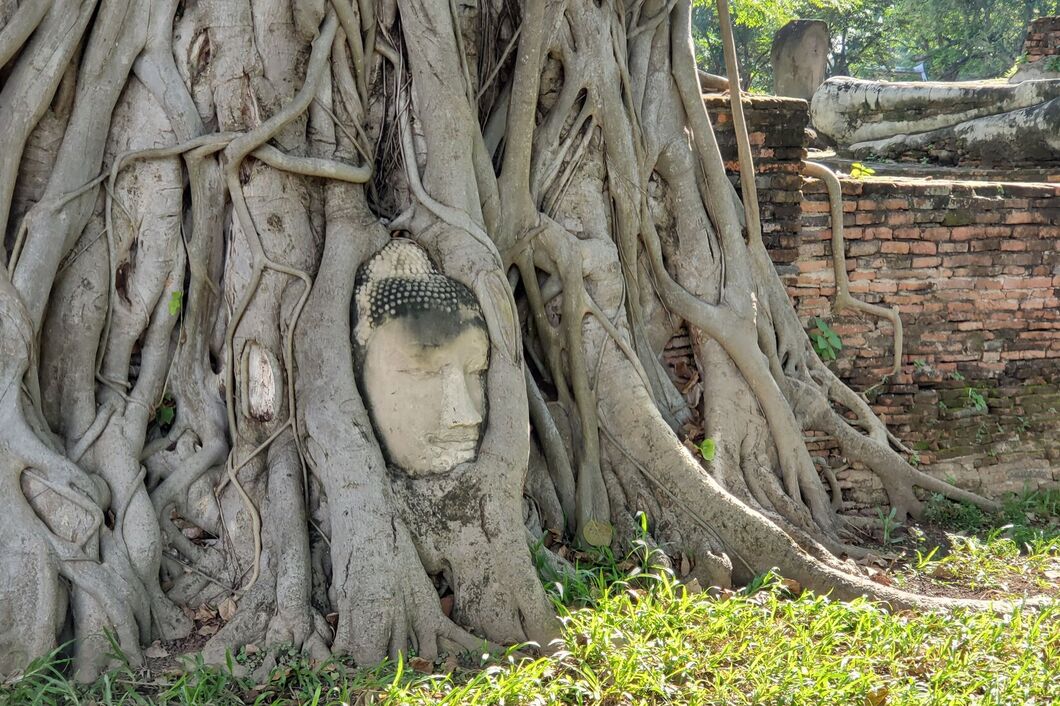 ayutthaya5