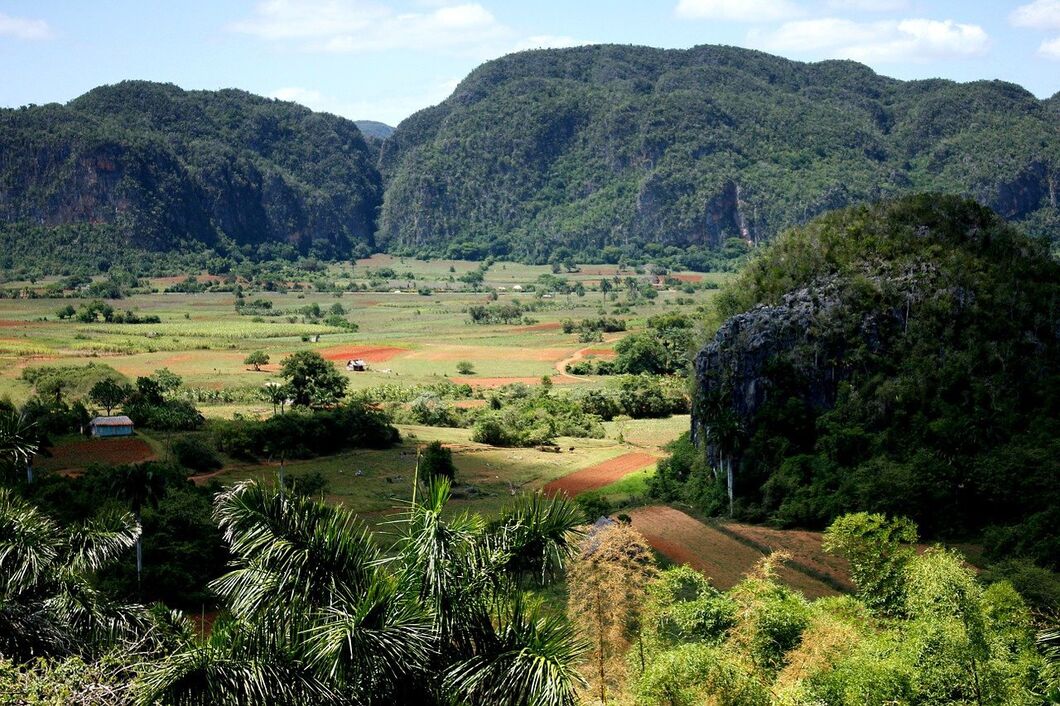 vinales1