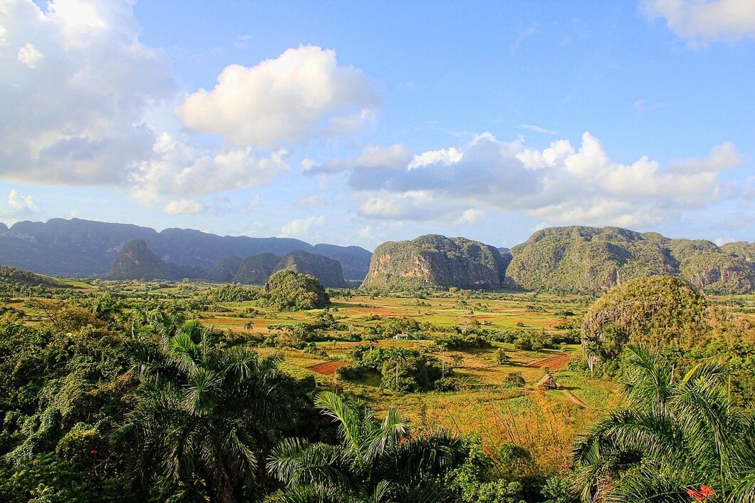 vinales2