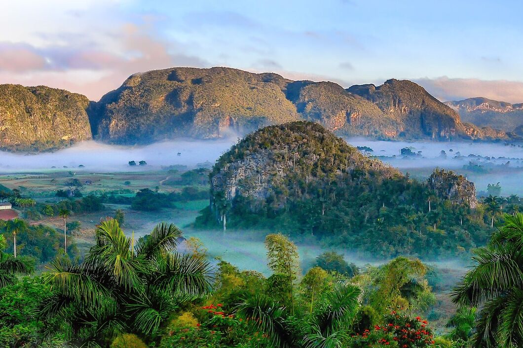 vinales3