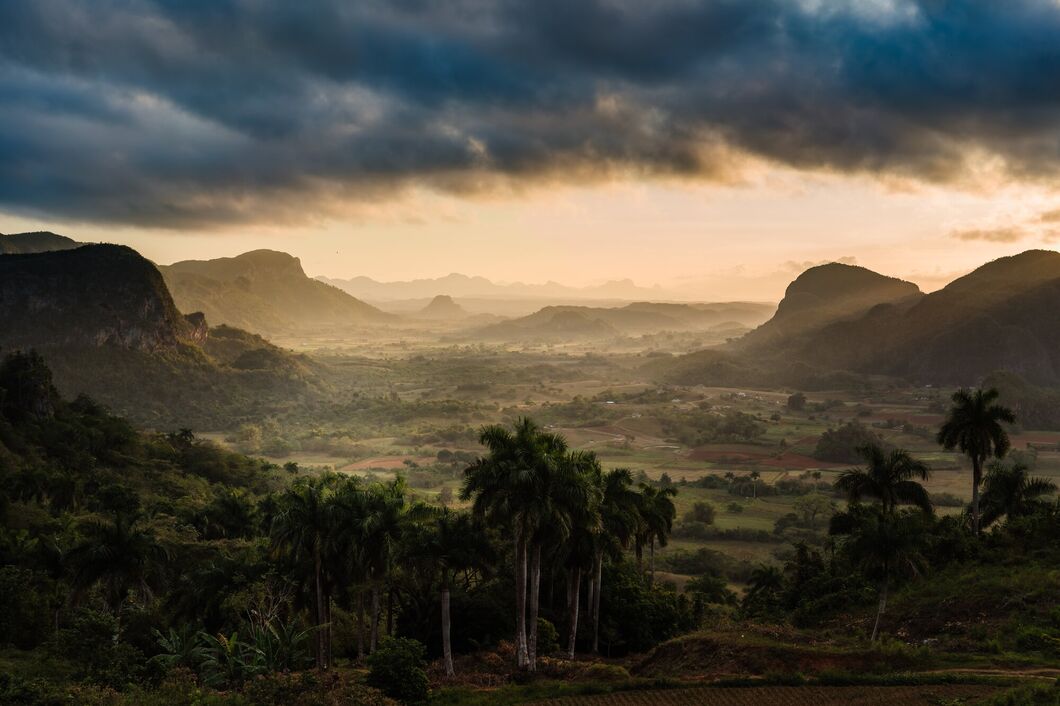 vinales4