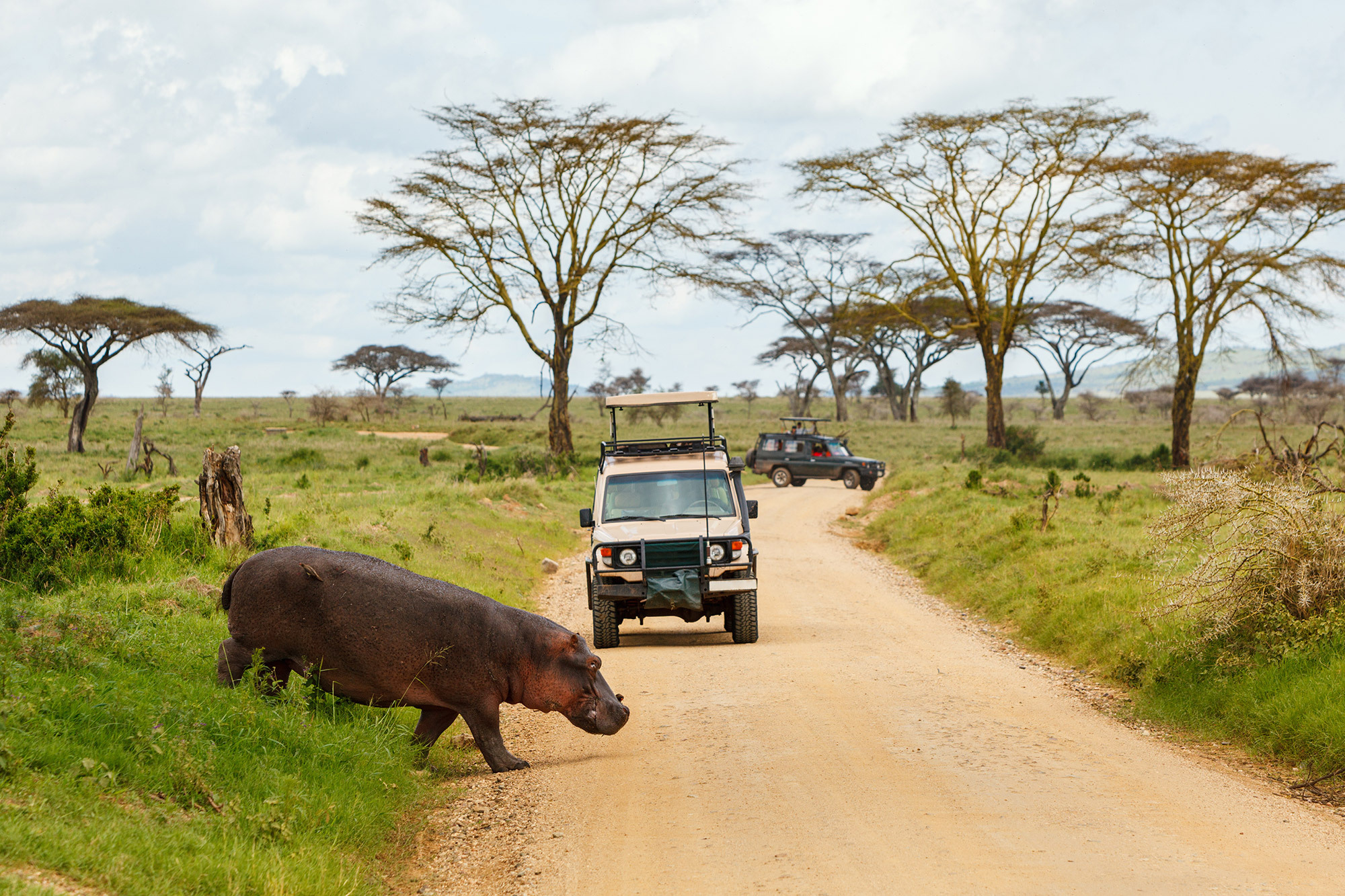 Cesta-Masai-Mara-Safari-Serengeti