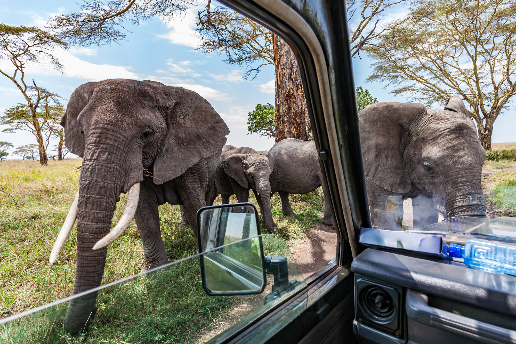 Safari-afrika-zajezd-slony