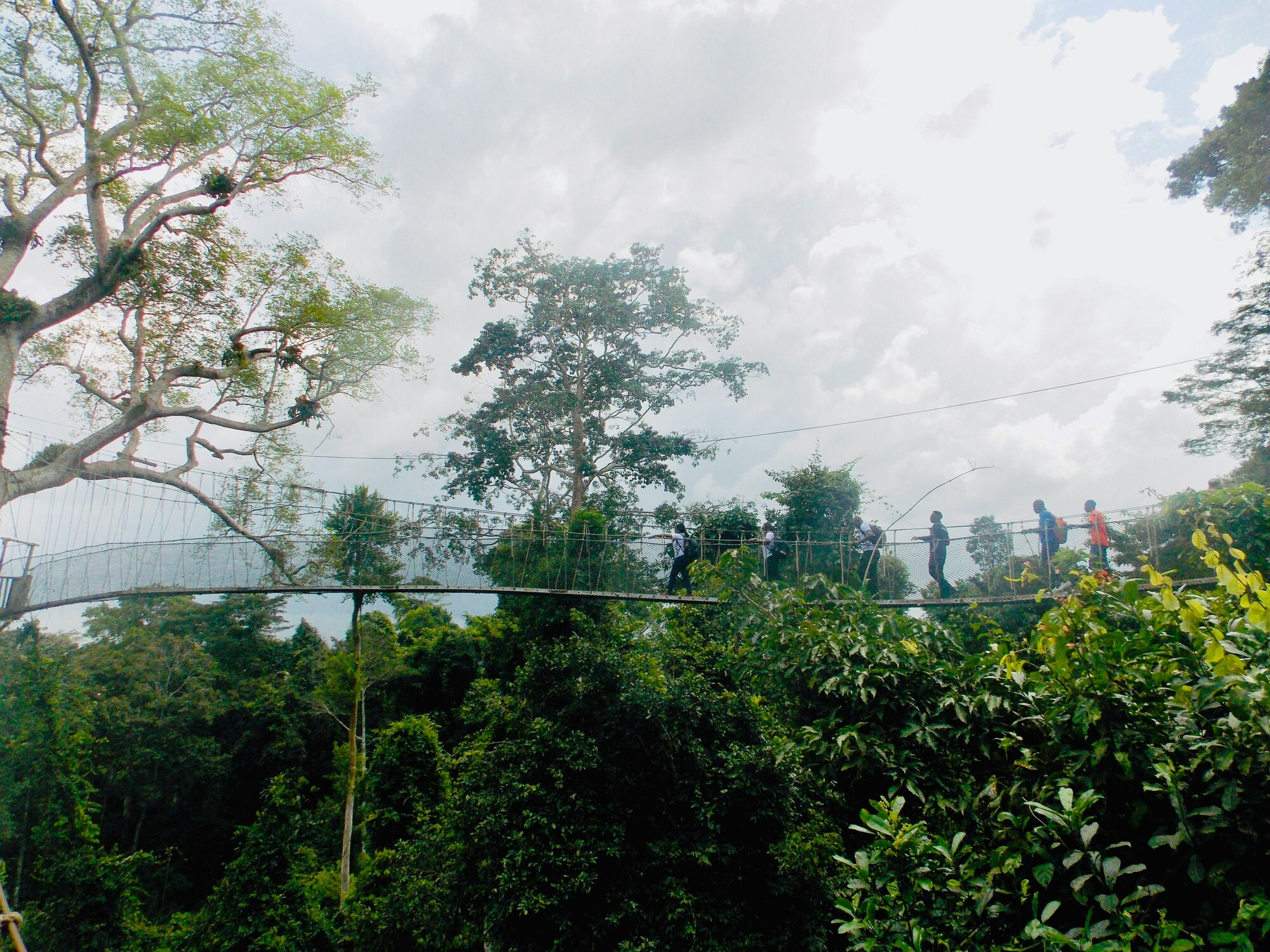 Rwanda-Canopy-Walk-zajezdy-dovolena-iitours