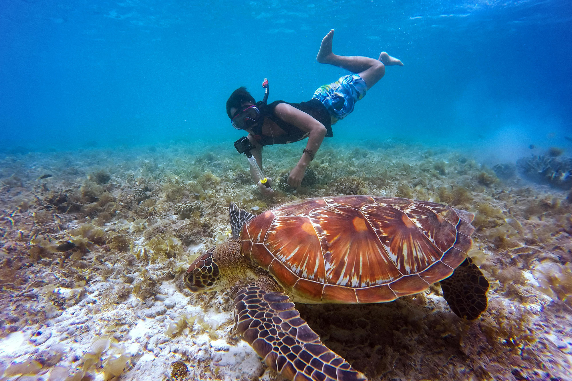 Snorchlovani-na-ostrove-Bohol-Filipiny-dovolena-zajezd-na-miru-iitours