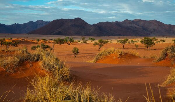Namibie, autentická Afrika plná kontrastů
