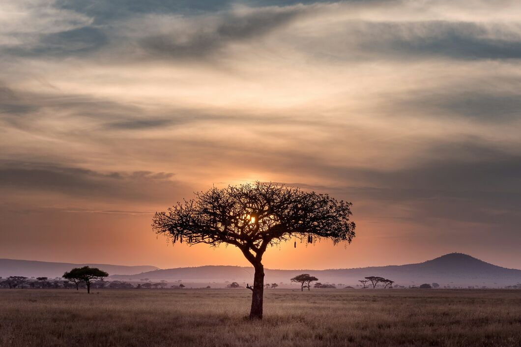 Národní park Kruger
