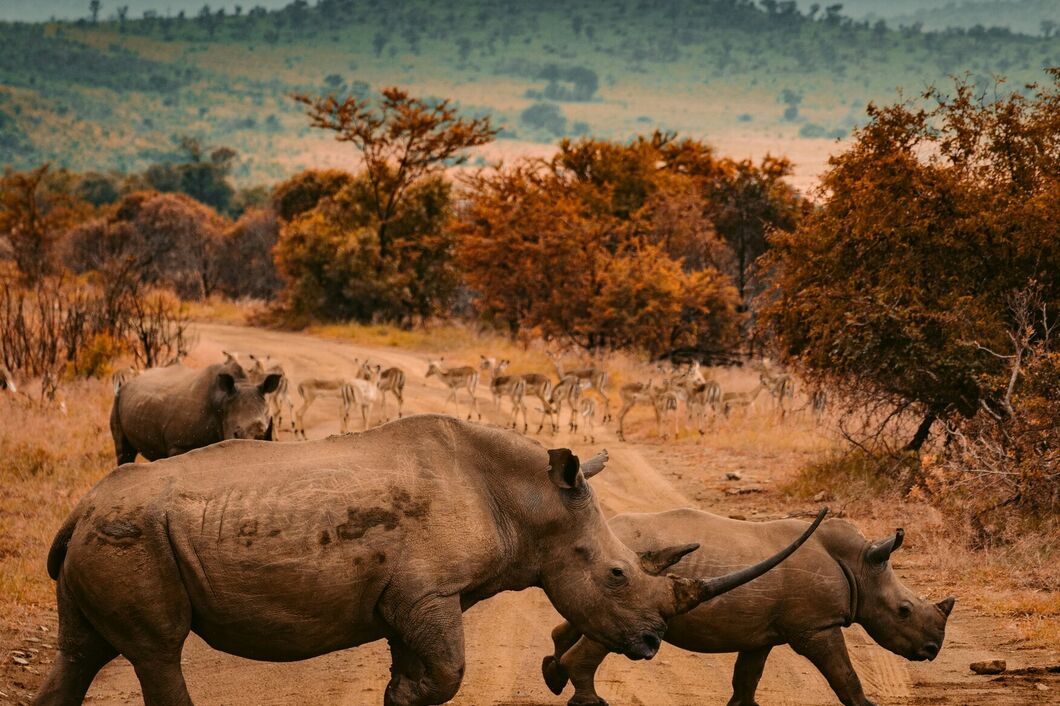 Národní park Kruger