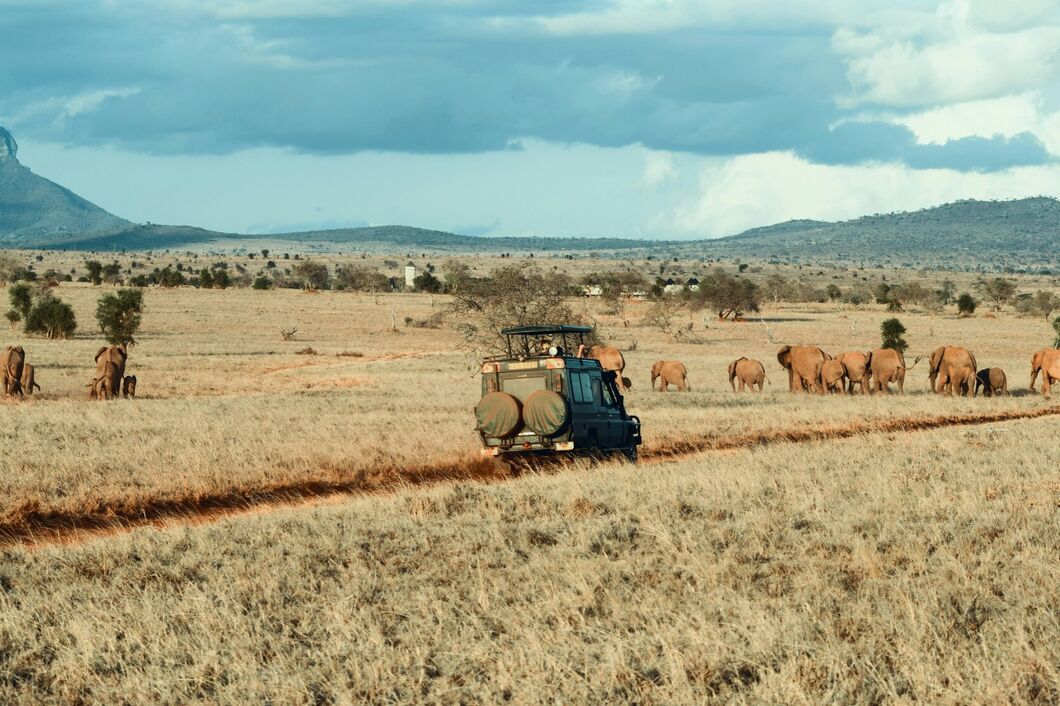 Národní park Kruger