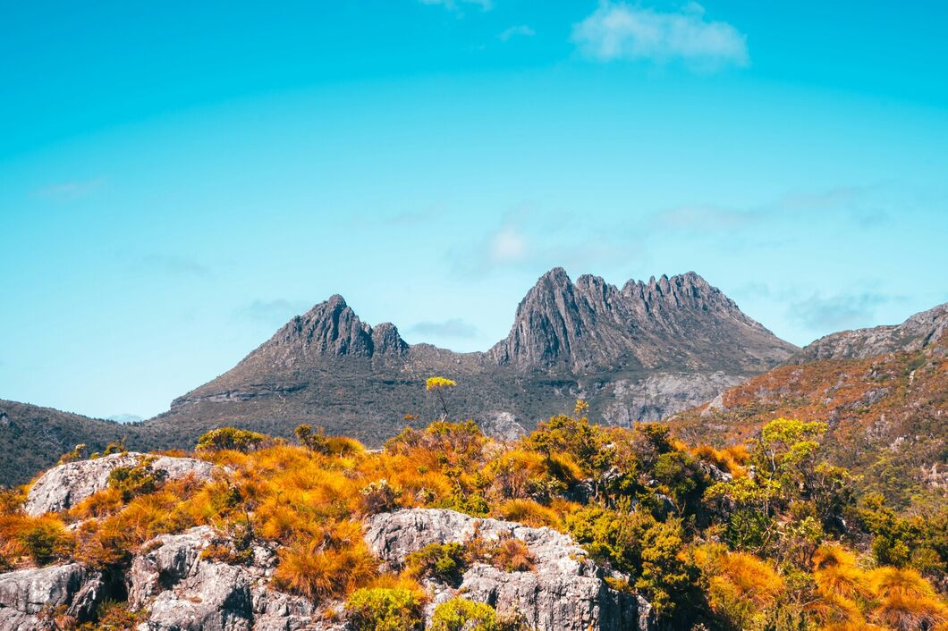 Austrálie