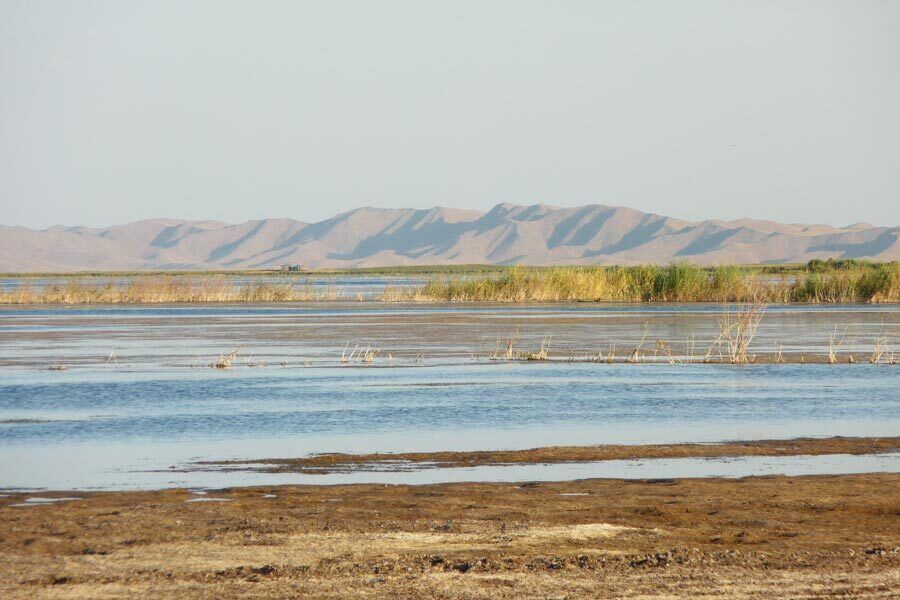 Uzbekistán