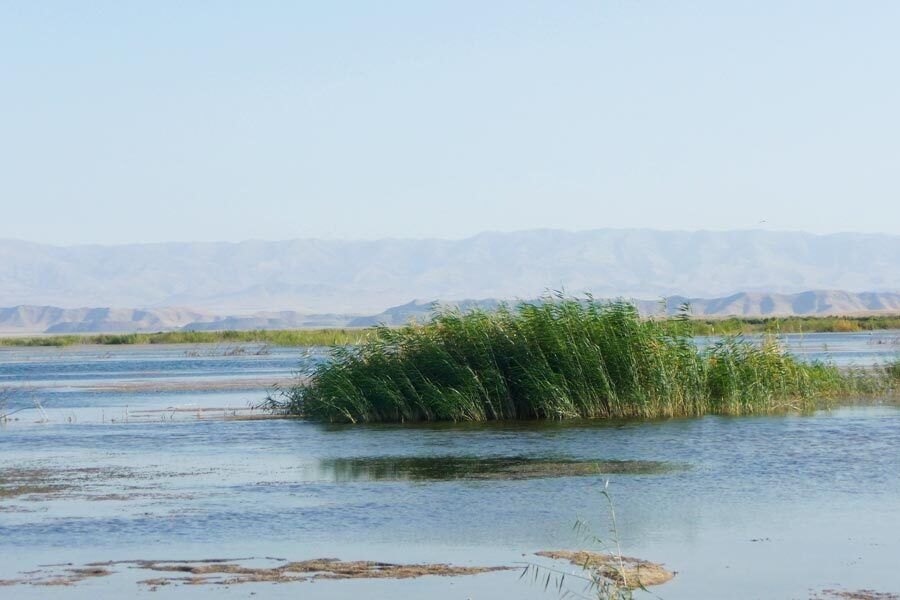 Uzbekistán