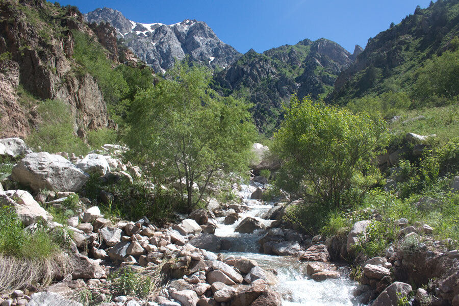 Uzbekistán