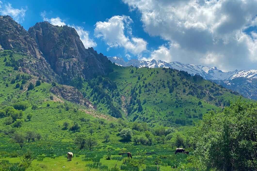 Uzbekistán